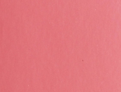 VM 01-120